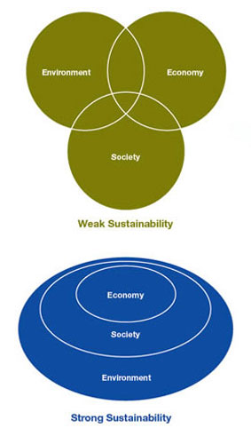 Starke und schwache
                Nachhaltigkeit